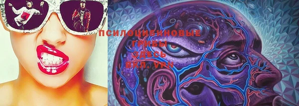 шишки Нягань