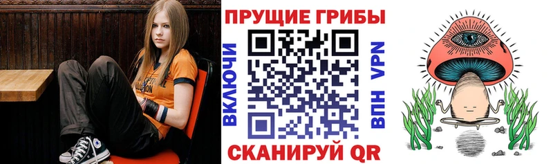 Галлюциногенные грибы Cubensis  darknet наркотические препараты  Уфа 